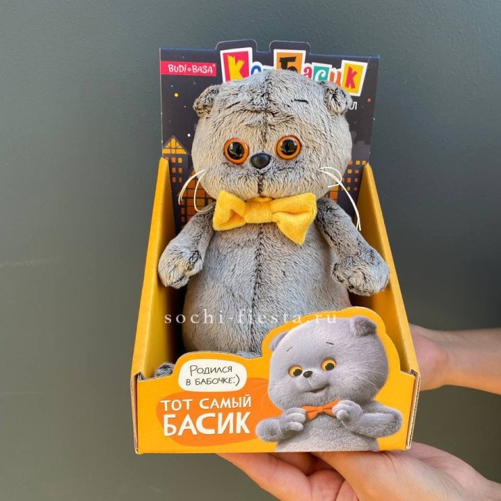 Кот Басик с бабочкой в Петрозаводске