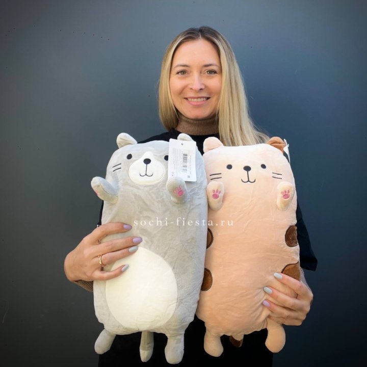 Плюшевый Кот пирожок в Петрозаводске