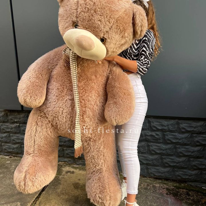 Плюшевый мишка большой в Петрозаводске