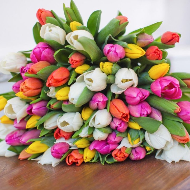 79 тюльпанов "Рандом" в Петрозаводске