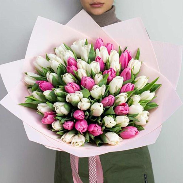 61 бело-розовый тюльпан в Петрозаводске