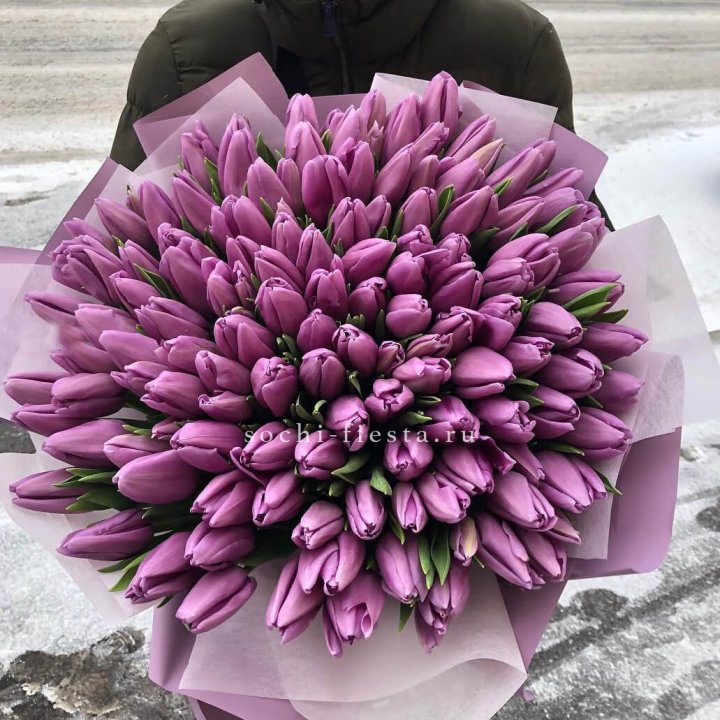 101 сиреневый тюльпан в Петрозаводске