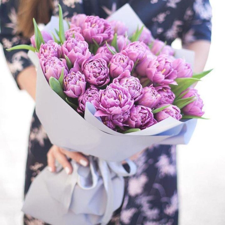 Тюльпаны "Пионс" в Петрозаводске