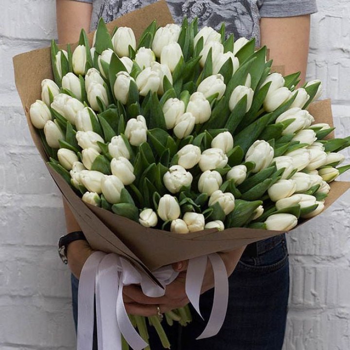 101 тюльпан сноу в Петрозаводске