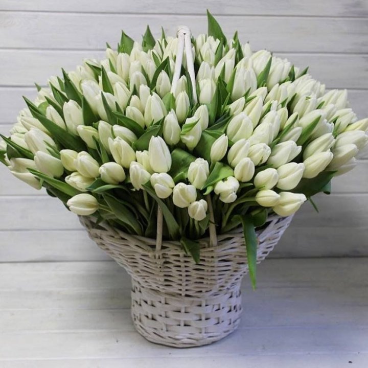Корзина из 151 тюльпана в Петрозаводске