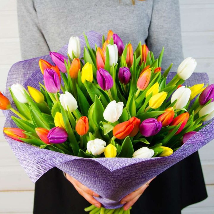 51 тюльпан "Рандом" №2 в Петрозаводске