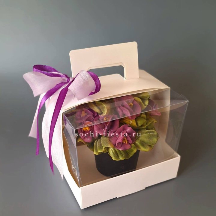  Зефир "Фиалка" в Петрозаводске